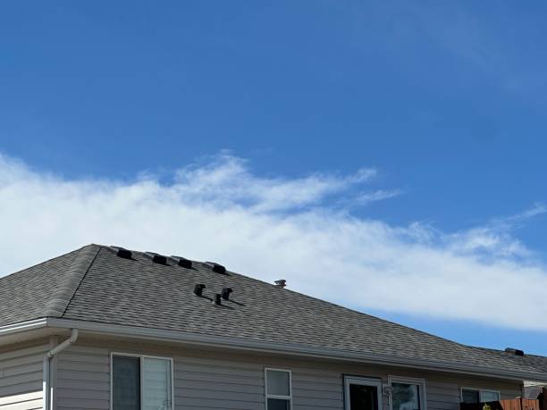 Best Sheet Metal Roofing  in North Puyallup, WA